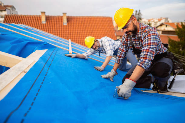 Best Roof Moss and Algae Removal  in Orland Park, IL